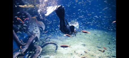 Original Fabric Banlong Dragon-Tail Mermaid Tail Performance Costume